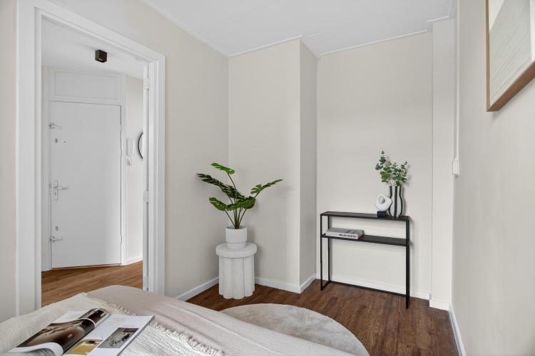 
    <nil><span>|</span>
image 15