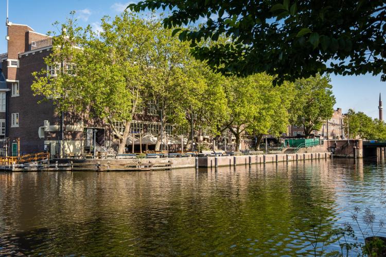 
    <nil><span>|</span>
image 30