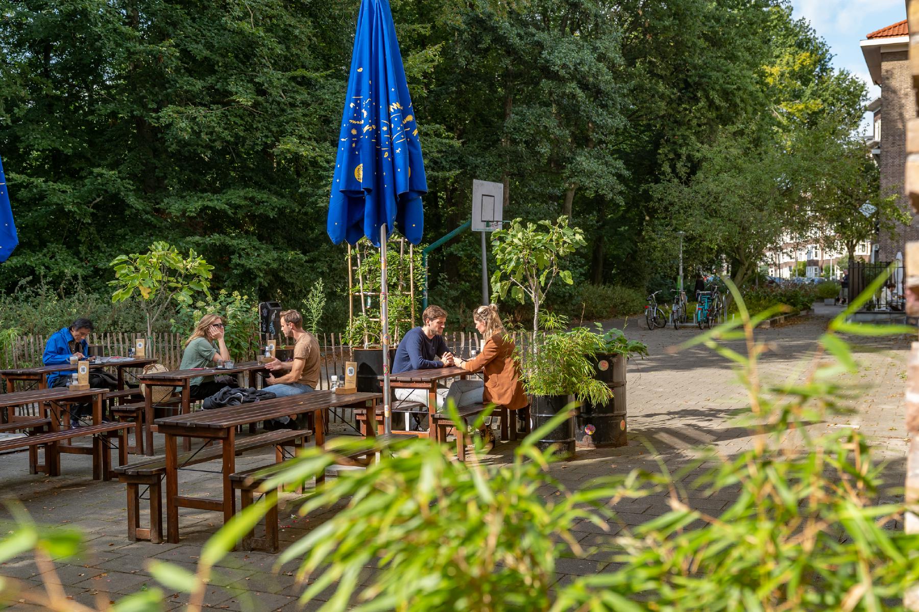 AMSTERDAM Van Spilbergenstraat 40 Himage 50