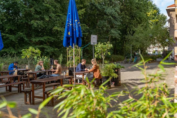 
    <nil><span>|</span>
image 50