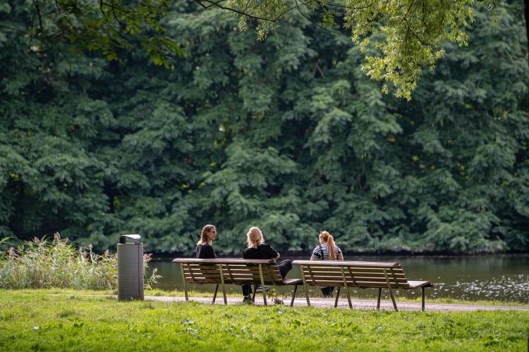 
    <nil><span>|</span>
image 49