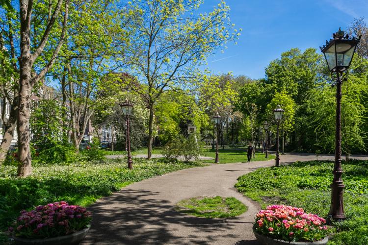 
    <nil><span>|</span>
image 26