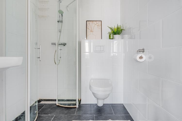 
    <nil><span>|</span>
image 11