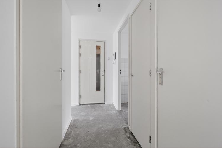 
    <nil><span>|</span>
image 23