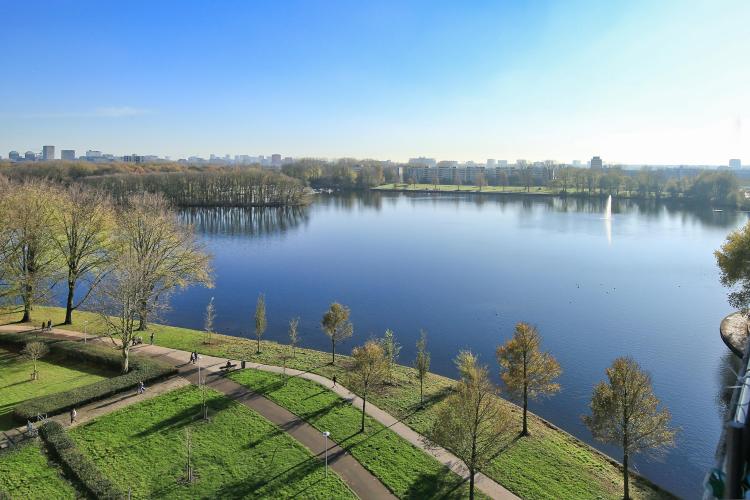 
    <nil><span>|</span>
image 9