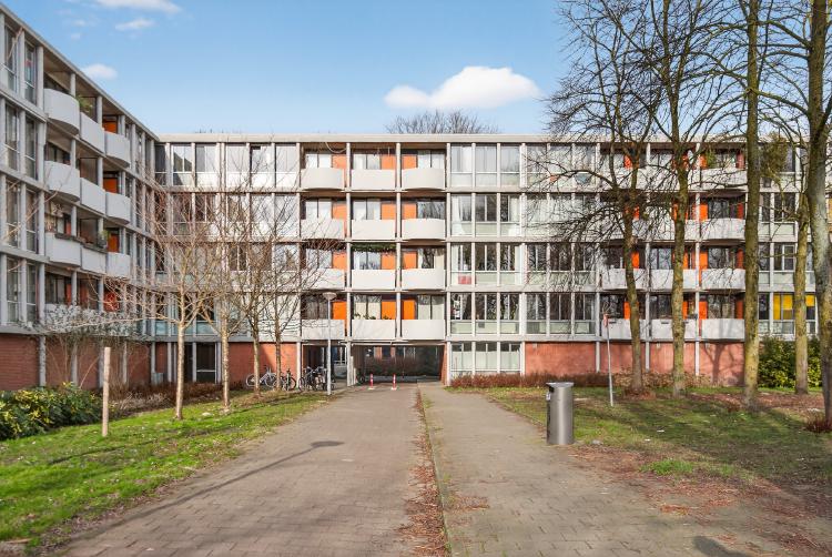 
    <nil><span>|</span>
image 21