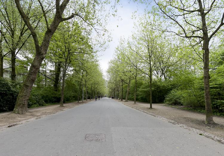 
    <nil><span>|</span>
image 40