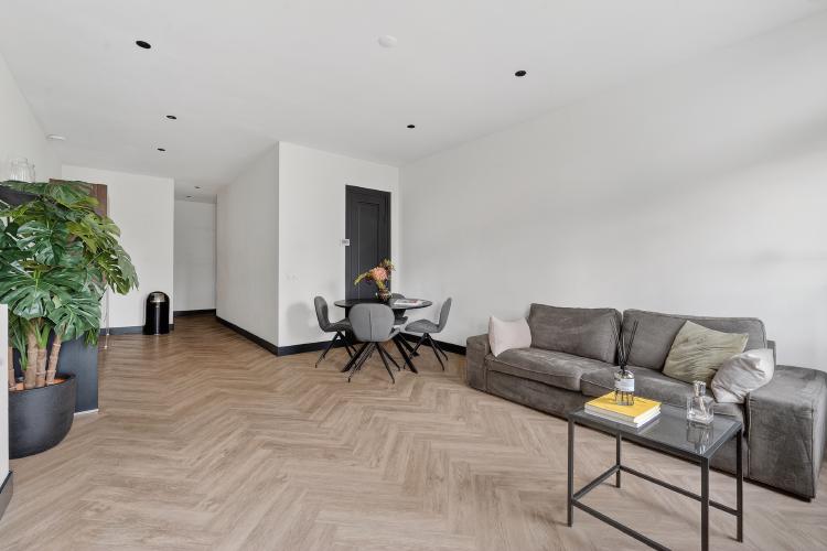 
    <nil><span>|</span>
image 5