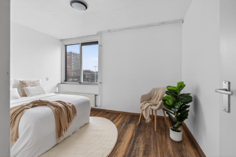 
    <nil><span>|</span>
image 19