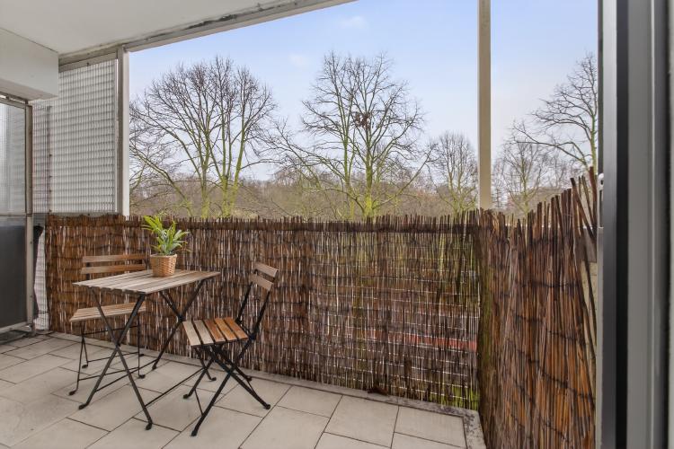 
    <nil><span>|</span>
image 12