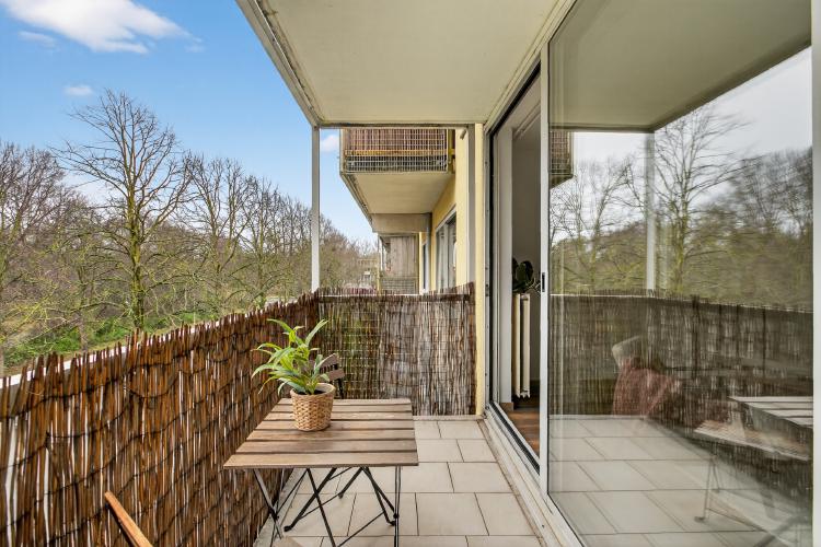 
    <nil><span>|</span>
image 11