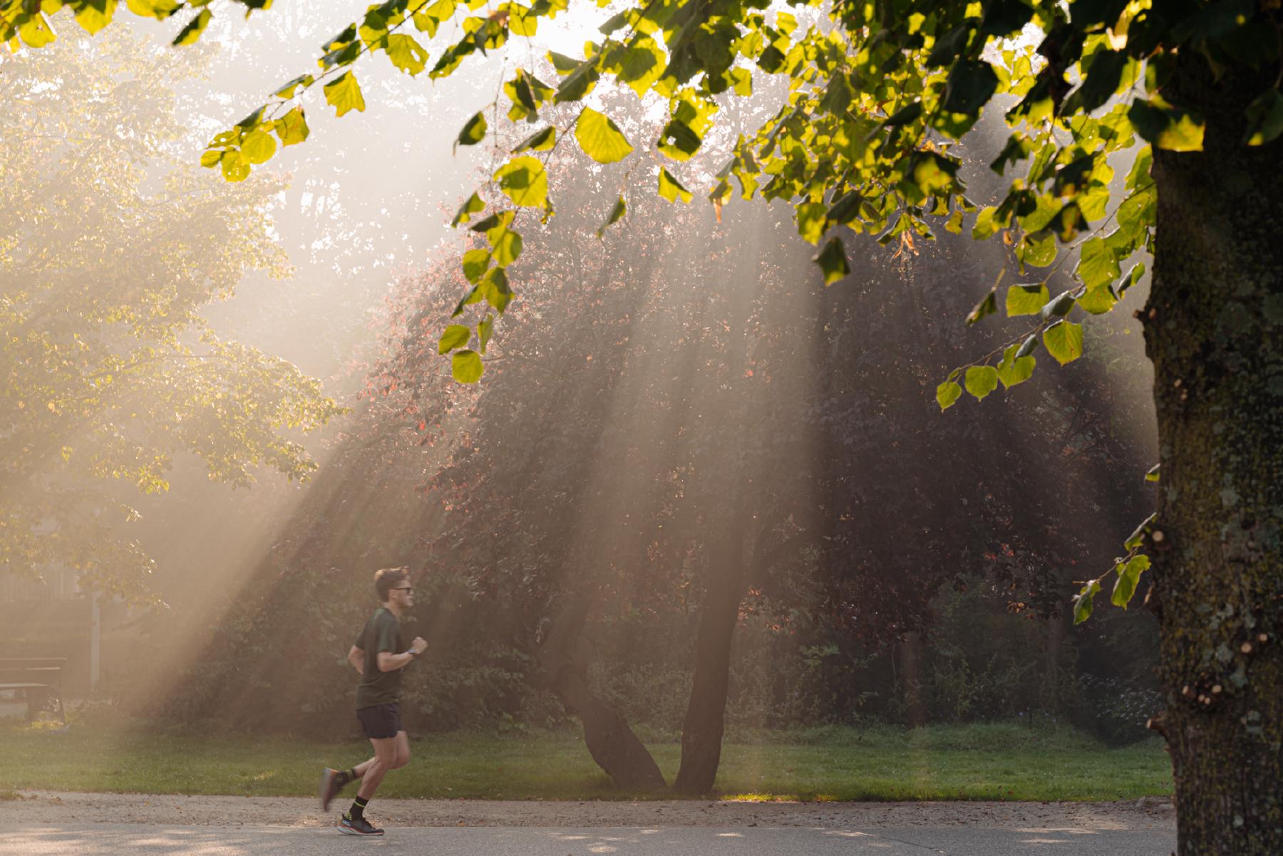 AMSTERDAM Overtoom 354-2image 18