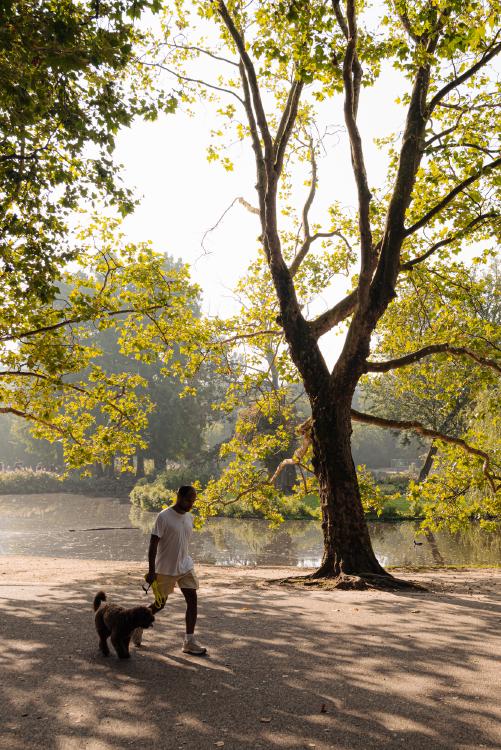 
    <nil><span>|</span>
image 19