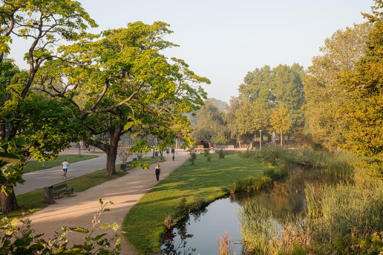 
    <nil><span>|</span>
image 17