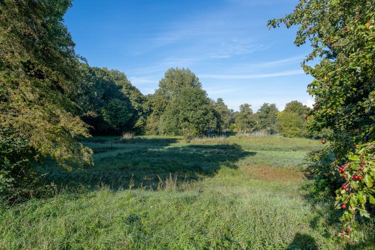 
    <nil><span>|</span>
image 22