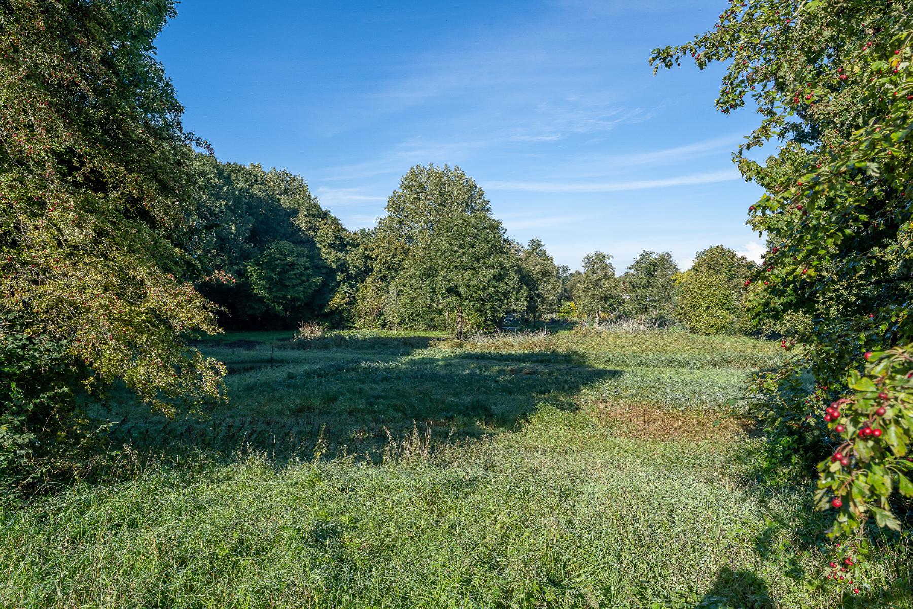 AMSTERDAM Olof Palmeplein 55 image 22