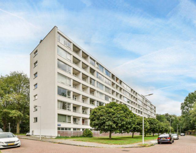 
    
     Eastonstraat 65 | Amsterdam
