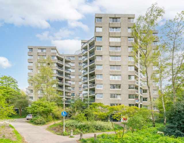 
    
     Groenhoven 812 | Amsterdam
