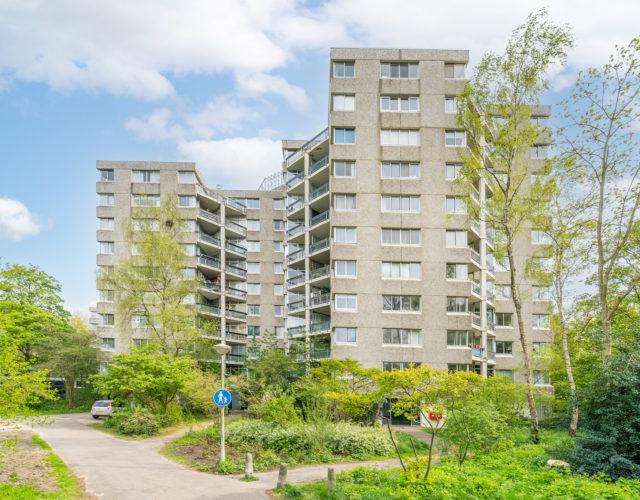 
    
     Groenhoven 812 | Amsterdam
