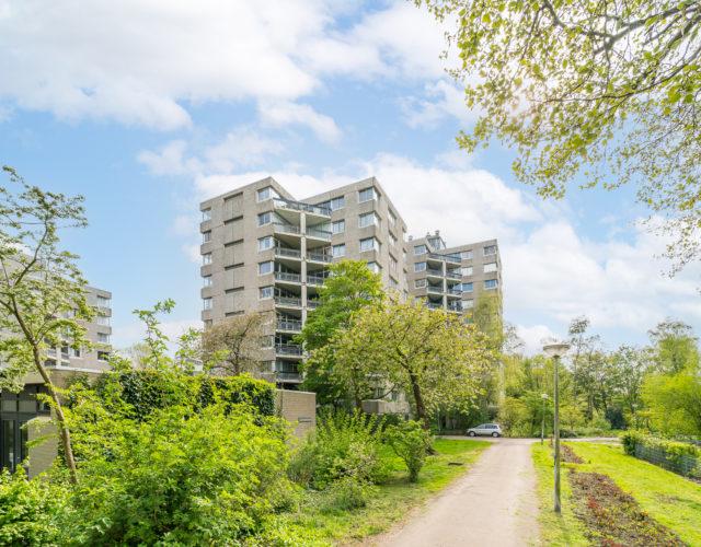 
    
     Groenhoven 812 | Amsterdam
