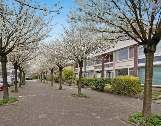 AMSTERDAM Hillenraadt 57